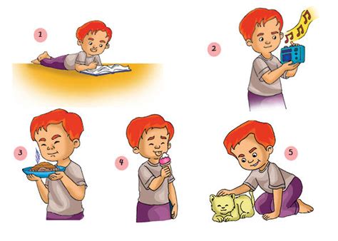 Download gambar gambar untuk mewarnai bagi anak paud gambar. Gambar Panca Indera Untuk Anak Paud - Tempat Berbagi Gambar