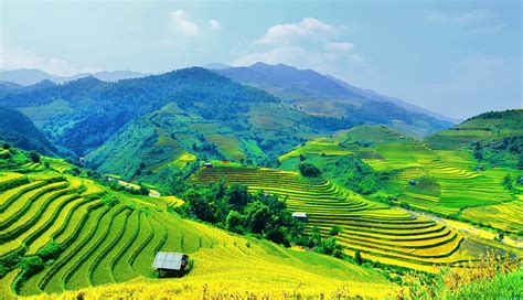 Top 126 Hình Nền đẹp Việt Nam Không Thể Bỏ Qua Vn
