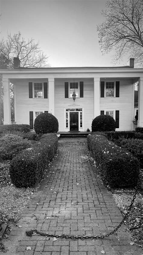 Morning in Roswell, GA : r/pics