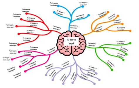 Plantillas De Mapas Mentales En Word Y Powerpoint Gratis Para Editar