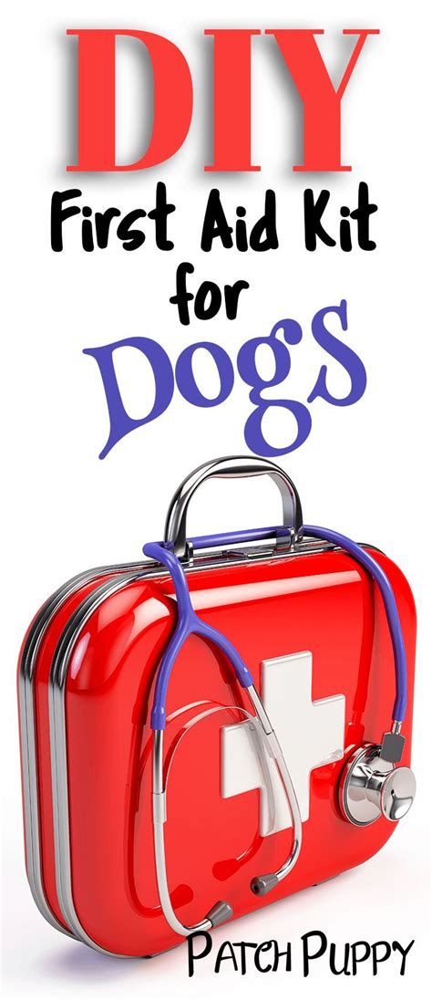 How To Put Together A 17 Essential Item Diy Dog First Aid Kit First