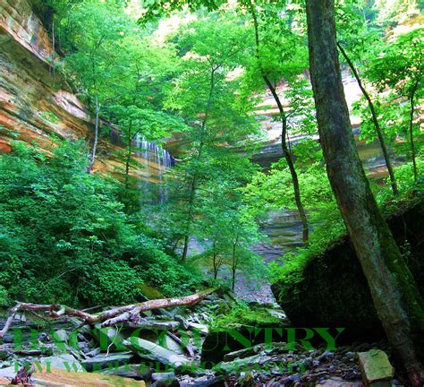 Clifty Canyon Clifty Falls State Park Indiana 2008 Pho Flickr