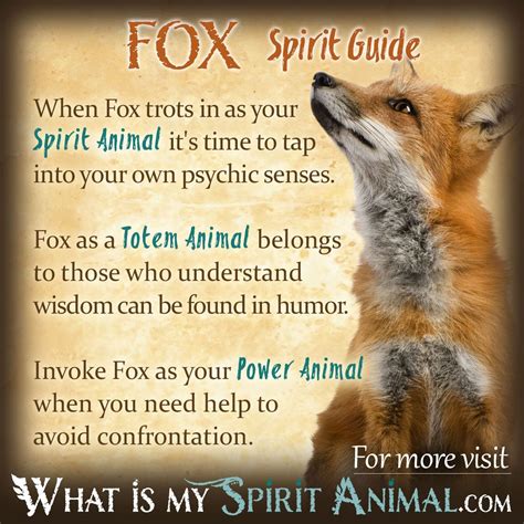 Mammal Symbolism And Meaning Spirit Animal Fox Power Animal Your