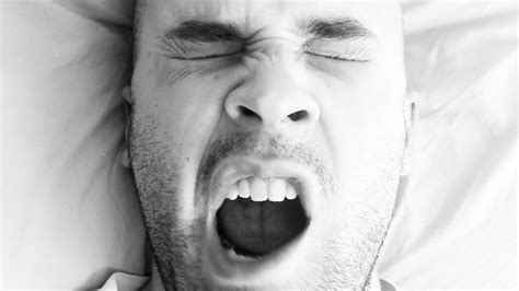 Why We Yawn And Why Theyre Actually Contagious Gizmodo Uk