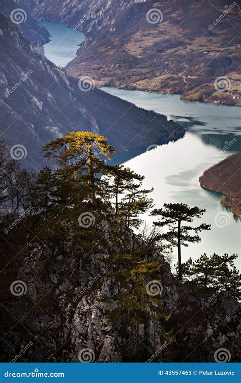 Viewpoint Banjska Rock At Tara Mountain Looking Down To Canyon Of Drina