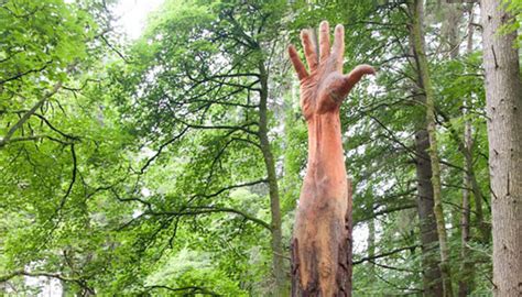 The Giant Hand Of Vyrnwy Simon Orourke