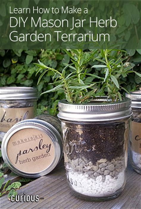Diy Mason Jar Herb Garden Terrarium