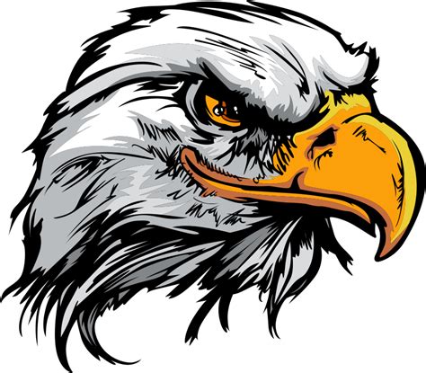 Bald Eagle Logo Cartoon Eagle Png Download 848744 Free