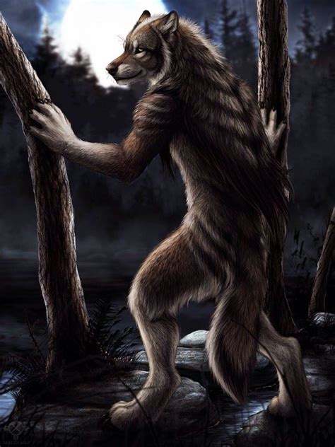 Loup Garou Alpha Werewolf Werewolf Art Wolf Images Wolf Pictures