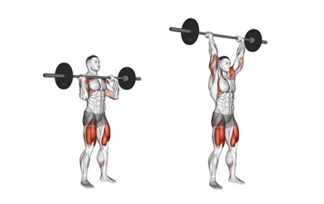 That's one of the reasons you'll often see powerlifters using the overhead press as a way to keep their shoulders. Barbell Military Press: What is it, How to do, Muscles ...
