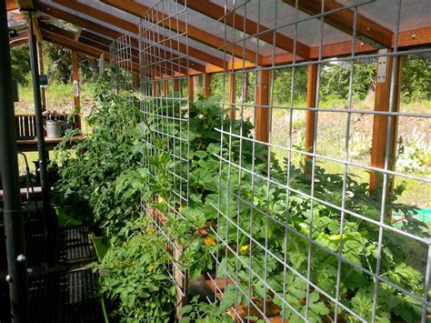 It's easy to build a diy greenhouse and you can also buy a small one that will fit on your balcony or in your living room. Greenhouse Kits | Gallery | Made For The American Gardener
