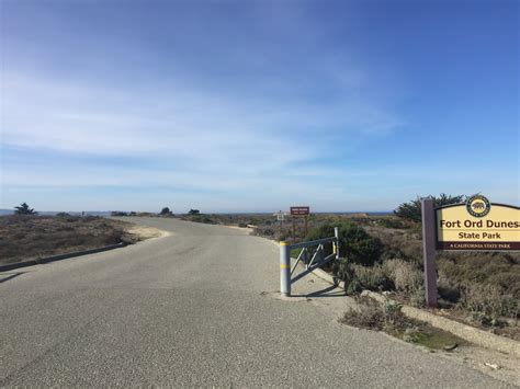Fort Ord Dunes State Park Hikes Dogs Love