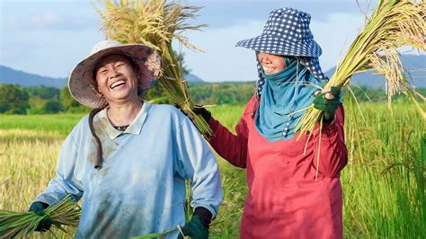ผลสำรวจเกษตรกรไทย มีความสุขเพิ่มขึ้น ตะวันออก ครองแชมป์สุขที่สุด