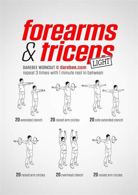 Best Arm Workouts At Home No Equipment A Complete Guide Cardio