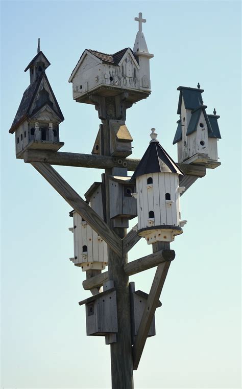 All featured plans are designed with the hobby builder in mind. fatchance: Vacant purple martin house, on the causeway ...