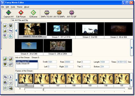Fancy Movies Editor Webcamウェブカムdvカメラ Tvカードキャプチャーdivx Aviファイル