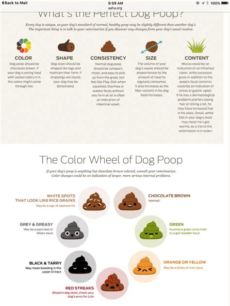 Dog Diarrhea Color Chart