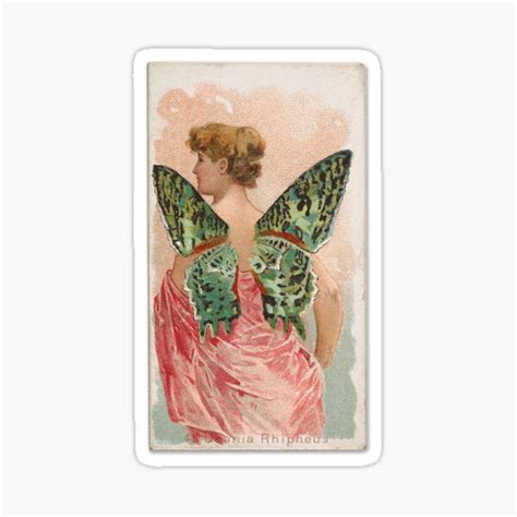 Vintage Butterfly Card Print Sticker For Sale By Kylabiles Redbubble