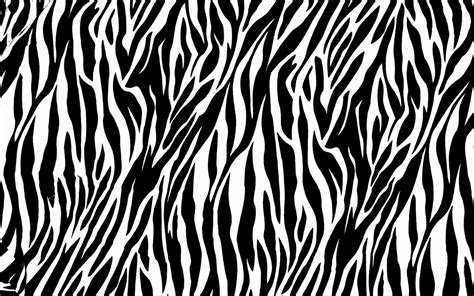 Zebra Pattern Wallpapers Top Free Zebra Pattern Backgrounds