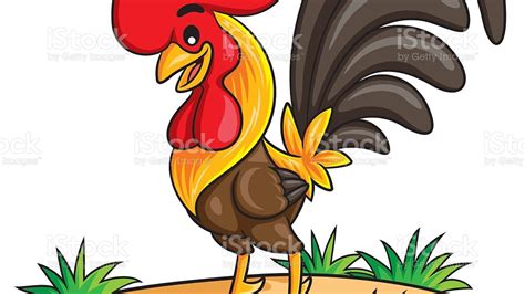 Gambar Kartun Ayam Jantan