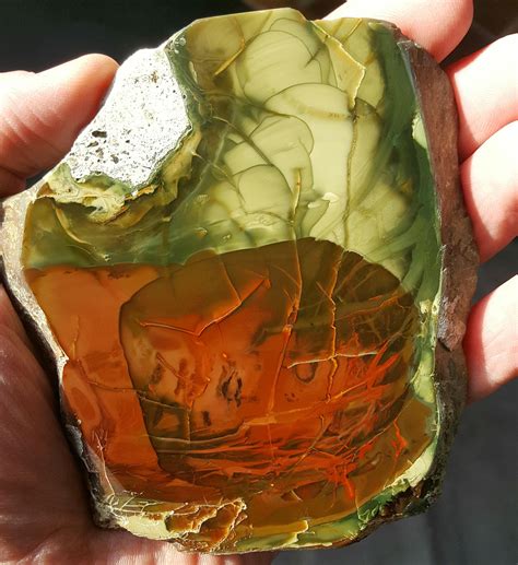 My finest Morrisonite Jasper slab. Owyhee, OR. I did not collect this ...