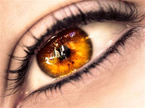 What Should Your Fantasy Eye Color Really Be Beautiful Eyes Color