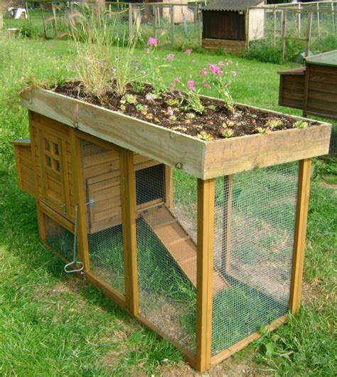 Having discussed the different kinds of chicken pallet coops, it's good if you put the ideas into practice. How to Build a Pallet Chicken Coop: 20 DIY Plans | Guide ...