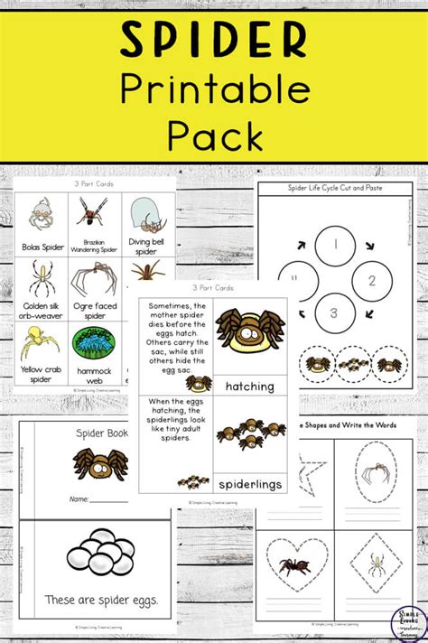 Spider Printable Pack Simple Living Creative Learning
