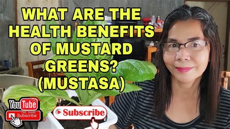 What Are The Health Benefits Of Mustard Greens Mustasa Youtube
