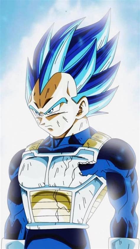 The fifth season of the dragon ball z anime series contains the imperfect cell and perfect cell arcs, which comprises part 2 of the android saga.the episodes are produced by toei animation, and are based on the final 26 volumes of the dragon ball manga series by akira toriyama. Vegeta Blue | Anime dragon ball super, Dragon ball ...