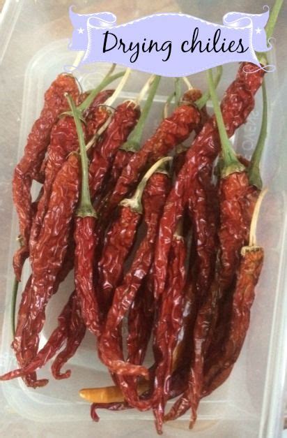 How To Dry Chilies In The Oven Artofit