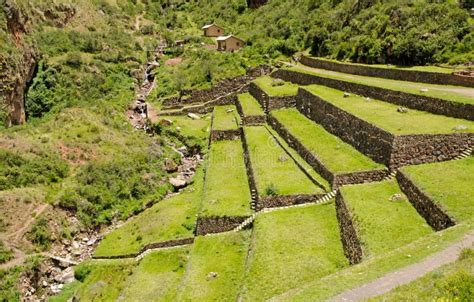 Las Terrazas Agrícolas En El Inca Localizan Pisac Perú Imagen De