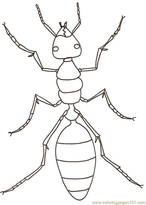 Download other alphabet animals coloring pages. Ants Coloring Page - Free Ants Coloring Pages ...