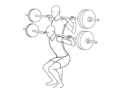 Blog » fitness » workouts » back workouts » strong back workout to build a muscular frame. 2 Types Of Squats And What is the Difference Between Them? - fitlifetube