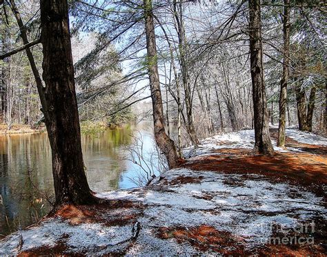 Winters Remains Photograph By Betsy Zimmerli Fine Art America
