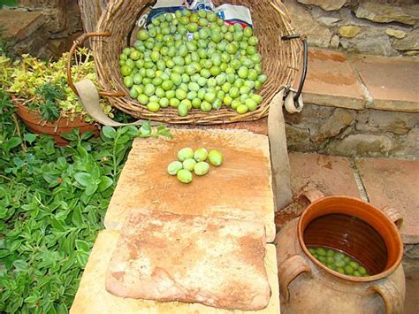 Comment Faire Pour Rendre Les Olives Comestibles - comment faire les olives cassees - Le comment faire