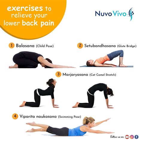 10 Exercises To Relieve Lower Back Pain Stretches To Reduce Back Pain