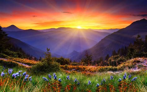 Scenic Full HD Wallpaper and Background | 2560x1600 | ID:392202
