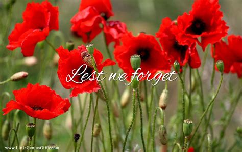 Remembrance Day Wallpapers Wallpaper Cave