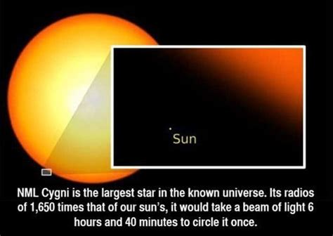 La Estrella Llamada Nml Cygni Es La Más Grande Del Universo Conocido