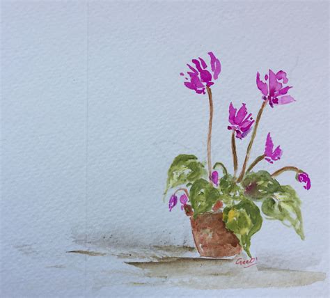 Watercolor Cyclamen Flower Painting Watercolor Painting