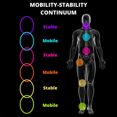 Stability Mobility Continuum Carlingford Active Health