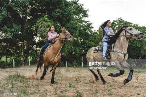 Brazilian Horses Photos And Premium High Res Pictures Getty Images