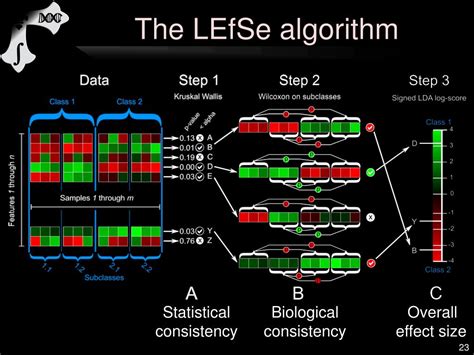 Ppt Computational Metagenomics And The Human Microbiome Powerpoint