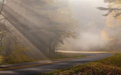 Beautiful Foggy Road X Post Rfoggypics Mostbeautiful