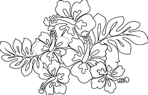 Tropical Flower Coloring Pages For Adults Coloring Pages