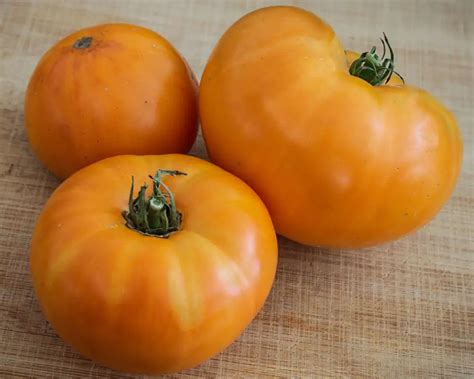 Amana Orange Tomato Seeds Grow A Flavorful Colorful Harvest