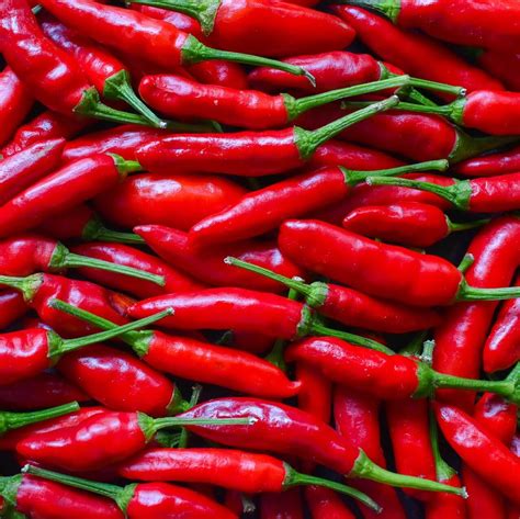 Hot Pepper Seeds Vegetable Seeds Variety009 Mays Garden Seed