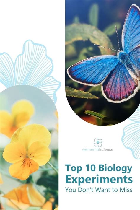 Top 10 Biology Experiments You Dont Want To Miss In 2022 Biology Experiments Homeschool