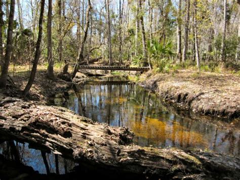 8 Of The Best Section Hikes On The Florida Trail Florida Trail